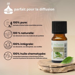 huile essentielle de ravintsara naturelle en flacon de 10 ml pour l’aromathérapie huile essentielle de ravintsara naturelle en flacon de 10 ml pour l’aromathérapie