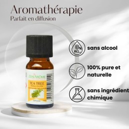 Huile essentielle arbre à thé 10ml naturelle pour aromathérapie, flacon made in France Huile essentielle arbre à thé 10ml naturelle pour aromathérapie, flacon made in France