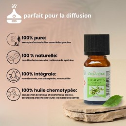 Flacon d'huile essentielle eucalyptus globulus 100% naturelle, aromathérapie, flacon de 10ml Flacon d'huile essentielle eucalyptus globulus 100% naturelle, aromathérapie, flacon de 10ml