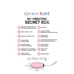 My vibrating secret egg - Rose Taille unique