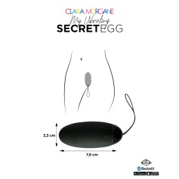 My vibrating secret egg - Noir Taille unique