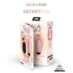 My vibrating secret egg - Rose Taille unique