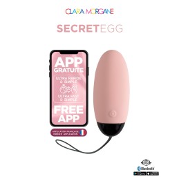 My vibrating secret egg - Rose Taille unique