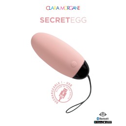 My vibrating secret egg - Rose Taille unique