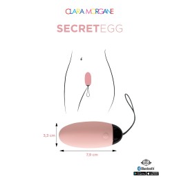 My vibrating secret egg - Rose Taille unique