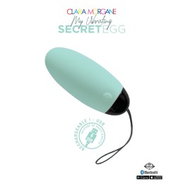 My vibrating secret egg - Bleu Taille unique