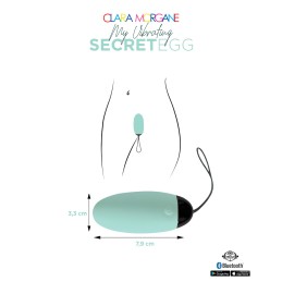 My vibrating secret egg - Bleu Taille unique