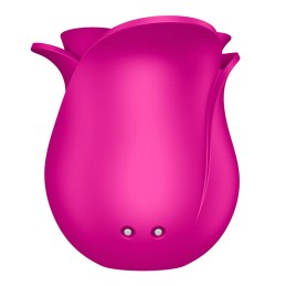 Modern Blossom Pro 2 Satisfyer - Rose