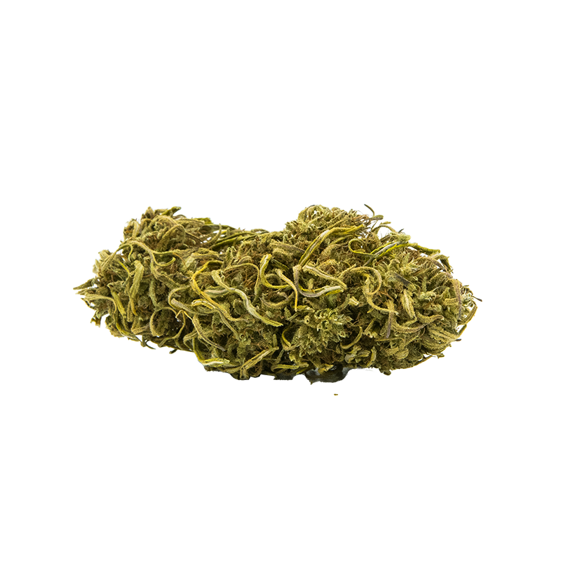 Fleurs CBD Kompolti BIO - Chanvre cultivé en France, 100% naturel Fleurs CBD Kompolti BIO - Chanvre cultivé en France, 100% naturel