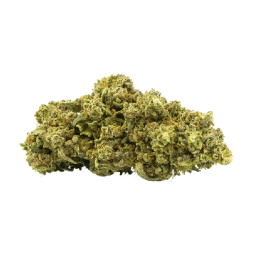 Fleurs CBD Strawberry Haze - Arômes de fraise des bois