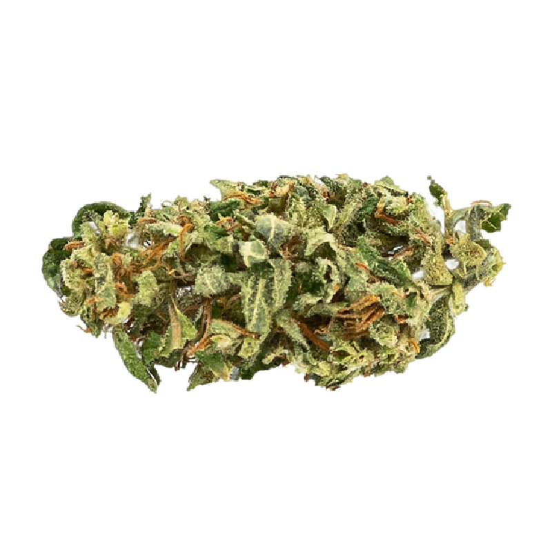 Fleurs CBD Amnesia - Culture biologique greenhouse, arôme citronné Fleurs CBD Amnesia - Culture biologique greenhouse, arôme citronné
