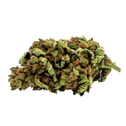 Fleurs CBD Super Skunk - Cultivées biologiquement en Autriche