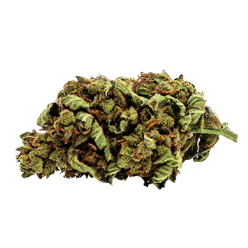 Fleurs CBD Super Skunk - Cultivées biologiquement en Autriche Fleurs CBD Super Skunk - Cultivées biologiquement en Autriche