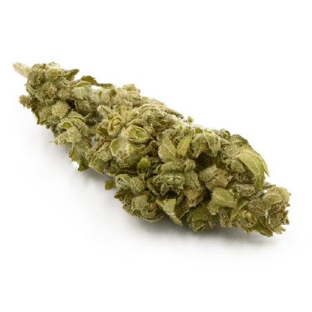 Fleurs CBG Gelato - Fleurs de chanvre Indoor riches en CBG