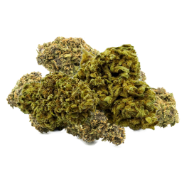 Fleurs CBD Sour Diesel - Greenhouse, agrumes & florales