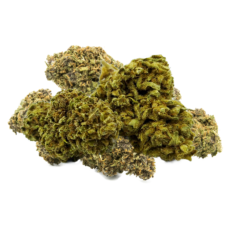 Fleurs CBD Sour Diesel - Greenhouse, agrumes & florales Fleurs CBD Sour Diesel - Greenhouse, agrumes & florales