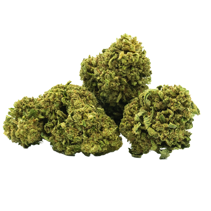 Fleurs CBD Torus - Arômes fruités et crémeux