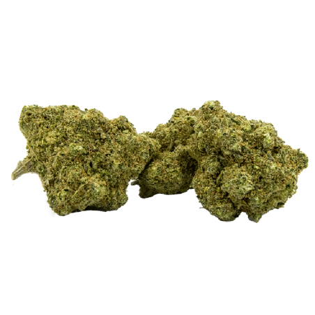Fleurs CBD Gelato - Saveur gourmande vanille et biscuits Fleurs CBD Gelato - Saveur gourmande vanille et biscuits