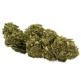 Fleurs CBD Black Berry - Puissance olfactive et taux de CBD 10%
