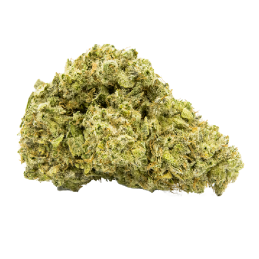 Amnesia Hydro - Fleurs de CBD Indoor Sativa puissante