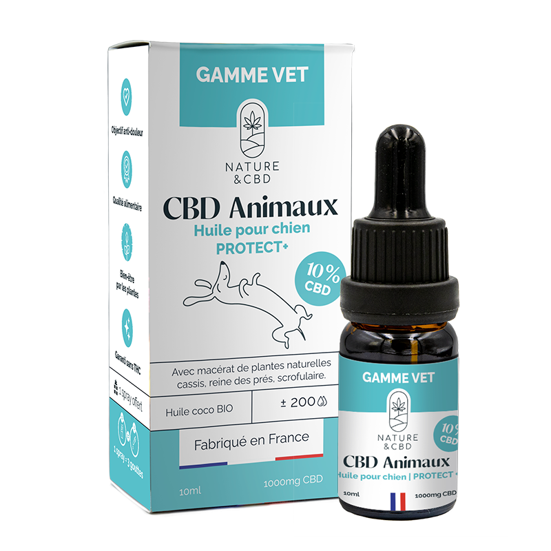 Huile CBD Animaux Protect+ 10% pour chiens - Douleurs et mobilité Huile CBD Animaux Protect+ 10% pour chiens - Douleurs et mobilité