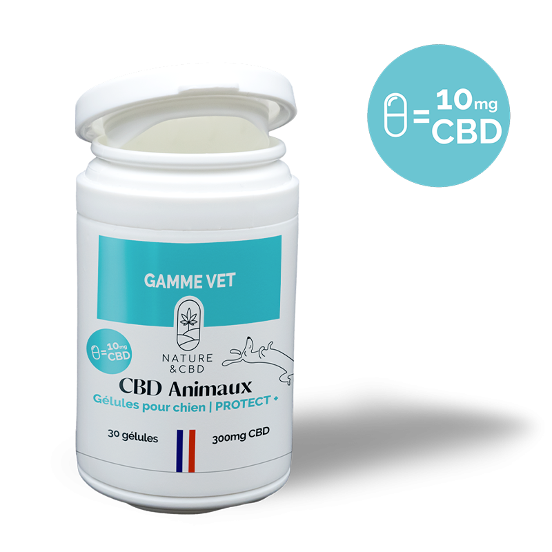 Gélules CBD Chien Protect+ - 10mg pour immunité et bien-être Gélules CBD Chien Protect+ - 10mg pour immunité et bien-être