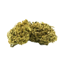 Fleur de CBD Harley Quinn - Mangue & Chanvre Cultivé Localement