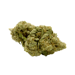 Fleurs CBD Do Si Dos 2g ou 5g