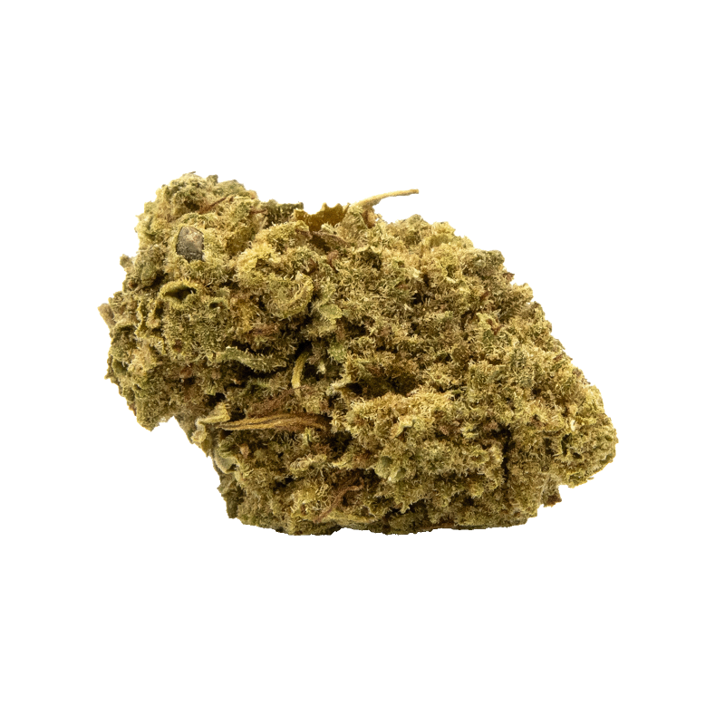 Fleur CBD Pumpkin Kush 2g ou 5g Fleur CBD Pumpkin Kush 2g ou 5g