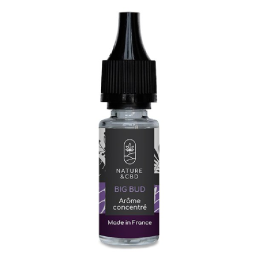 Arôme Big Bud 10 ml