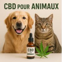 CBD pour animaux | Huile & produits au CBD pour chiens et chats – Objets-maison.com